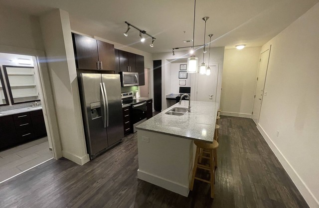 Luxury 1 Bedroom Apartment