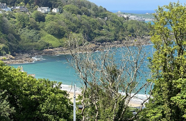 Luxury 2 Bed 2 Bathrooms Apartment Carbis Bay - Seaviews from all rooms!