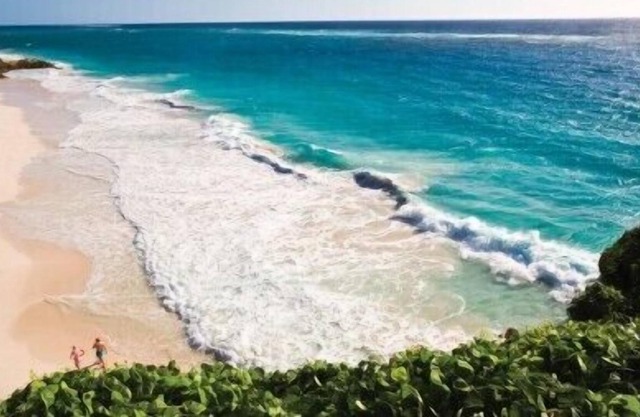 Luxury 2 BR at The Crane. Ocean View, Private Plunge Pool, Avail New Year's Eve
