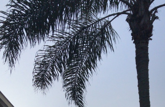 Luxury and Tranquility in front of the sea in Bom Jesus Waterfall