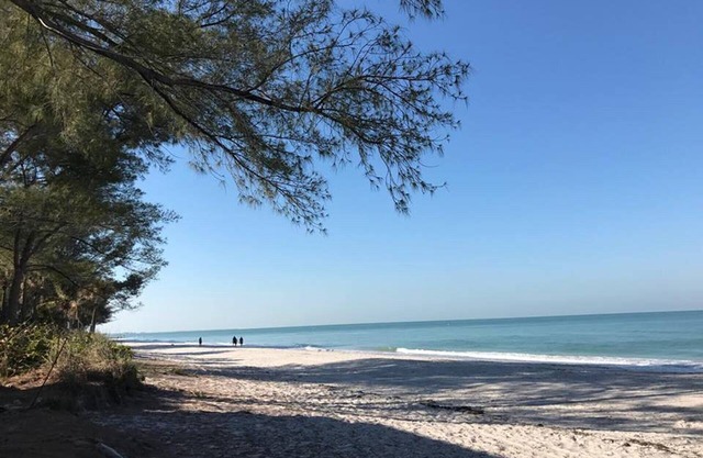 Luxury Beachfront Condo with Spectacular Sunsets!
