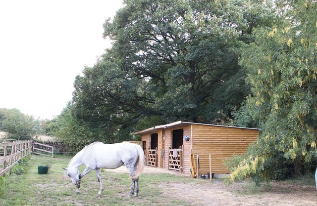 Luxury Dog Friendly Peak District Barn. Amazing Walks, Village pub & restaurant.
