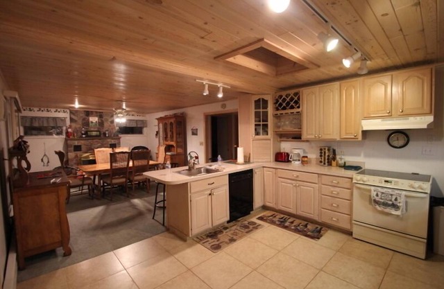 Luxury Lakefront 2800 Sq/ft. Includes kayaks, canoes, and boat with Honda motor