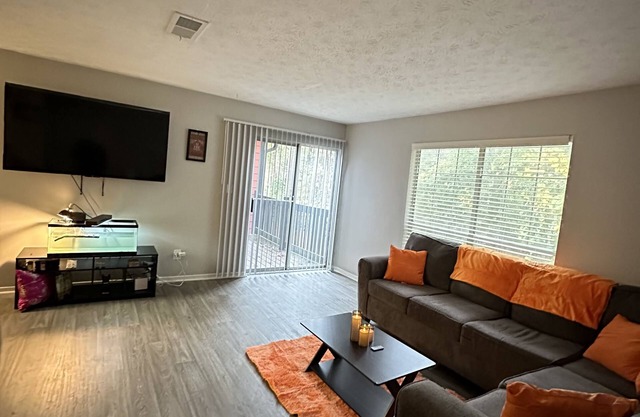 Luxury Marietta Apartment