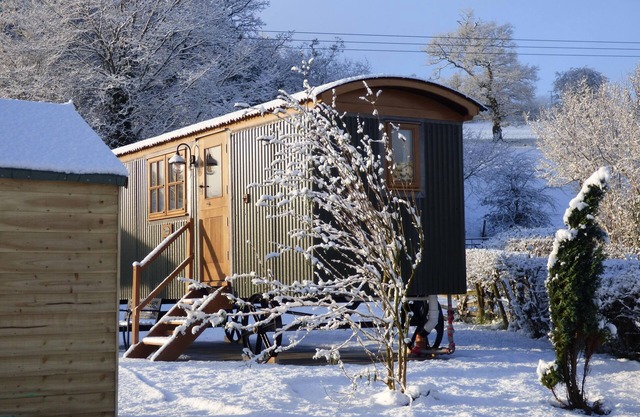 Luxury Shepherd's Hut with Stunning Views