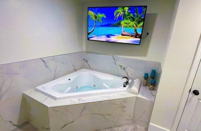 Luxury Studio-Apt w/Jacuzzi 8 mi from IAH