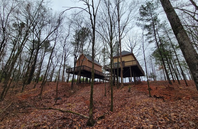 Luxury Treehouse (Eagles Nest)