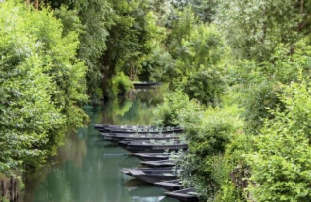 Luxury vacation rental in the heart of the Marais Poitevin - 2 bedrooms - 4 people