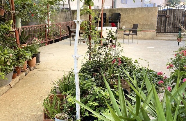 Madaba