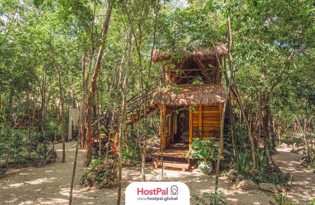 Madre Tierra Eco Habitat | Alberca natural y yoga