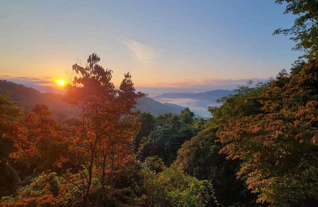 Maggie Valley Dream Home! Breathtaking Mountain Views, Luxury upgrades, Pets ok!