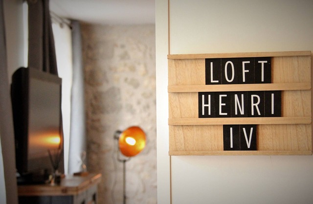 Magnificent apartment - Le loft Henri IV- facing the Château Henri IV