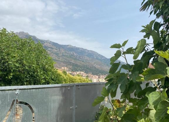 Maison à Corte (Centre Corse) avec piscine et jardin