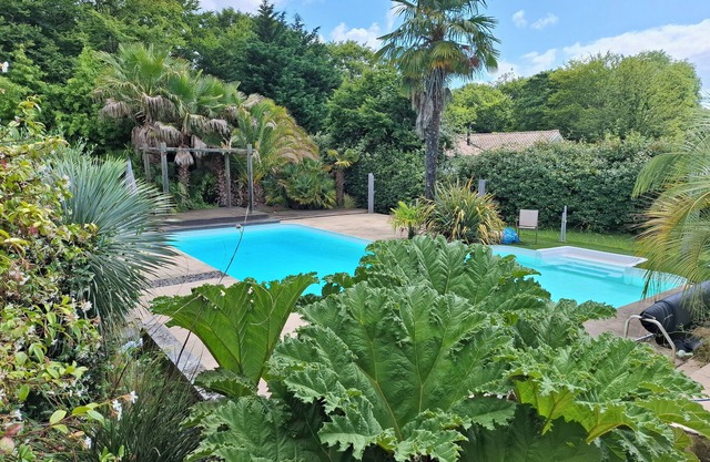 Maison Côté Bordeaux - Saint Émilion - Swimming pool