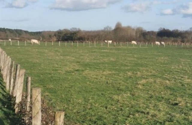 Maison Neuve au Calme à 2 pas du Mans et des 24h