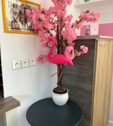maison pink flamingo aeroport tillé 2 a 4 personnes