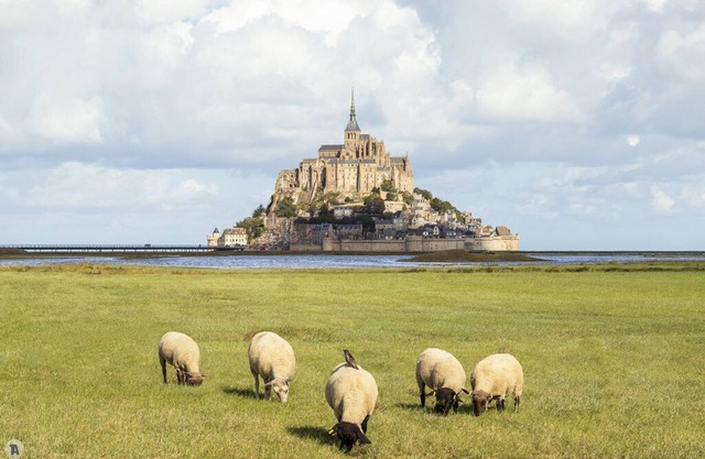 Maison Spacieuse Avec vue Imprenable sur le Mont Saint Michel !
