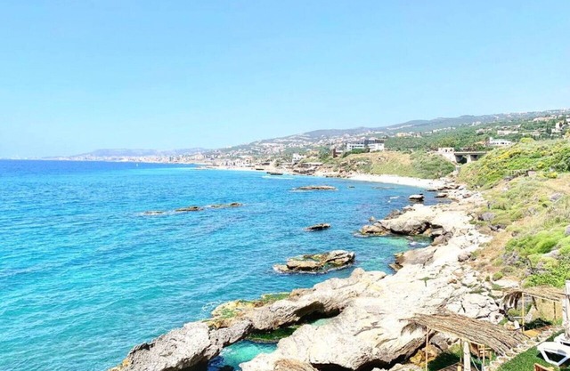 Majestic Palm: Beachfront Exotic Room in Batroun