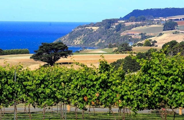Mallavale Farm Boat Harbour - stunning ocean views
