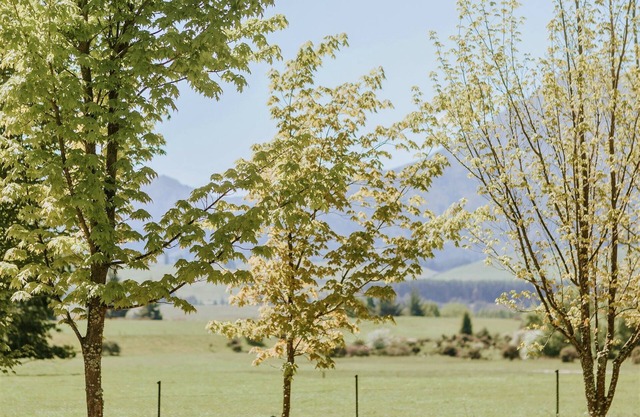 Maple Lodge - Ideal for wedding parties & families