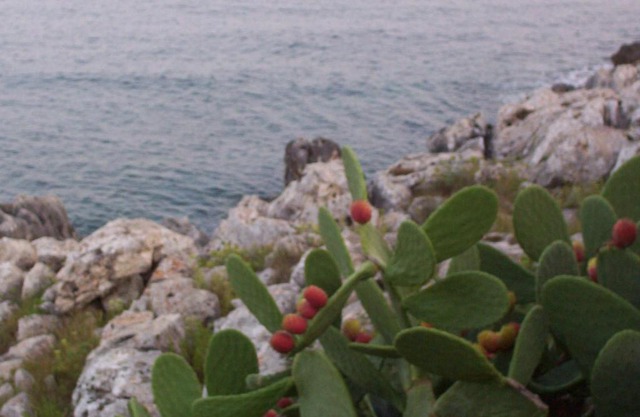 Marina di Andrano Landscape