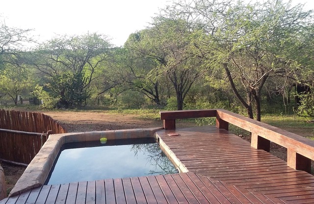 Marloth Kruger Whispering Ants