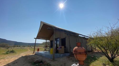 Marquee Safari Tent lachenalias