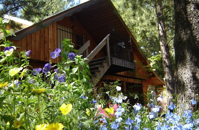 Martins Vacation Rental Log Cabin