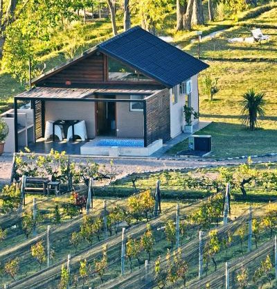 Martyniuk lodges entre viñedos