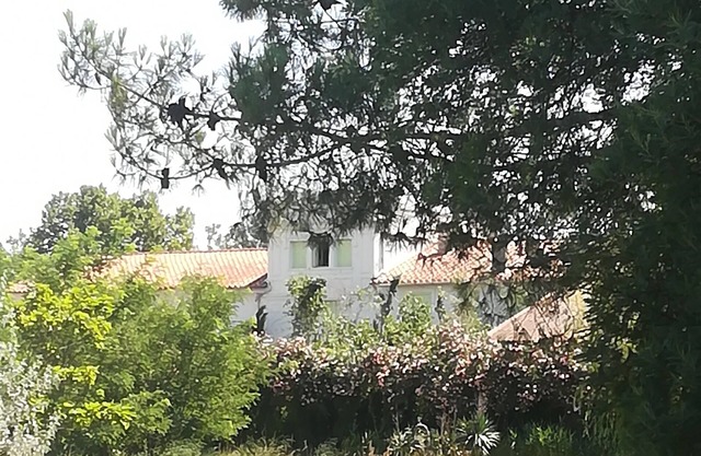 Mas des Marbres Sauvages property 32 people