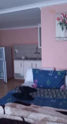 Masha accomodation