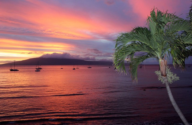Maui Rainbows And Waves! ~Gorgeous Oceanfront! ~ 2 Bdrm ~Corner Unit with A/C