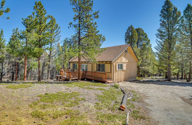 'McCall Creekside Cabin' Secluded Buena Vista Gem!
