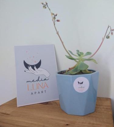Media Luna Apart -Depto A en Choele Choel