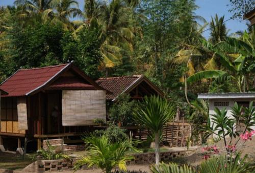 Medya homestay