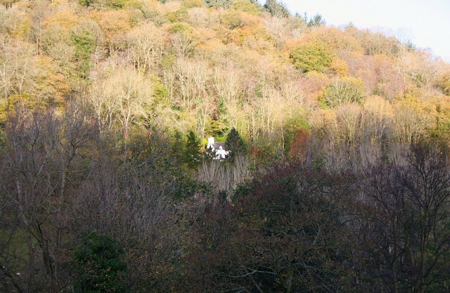 Mellow Mountain Eco Retreat exclusive use with Tipi, wood burning Hot Tub, Sauna