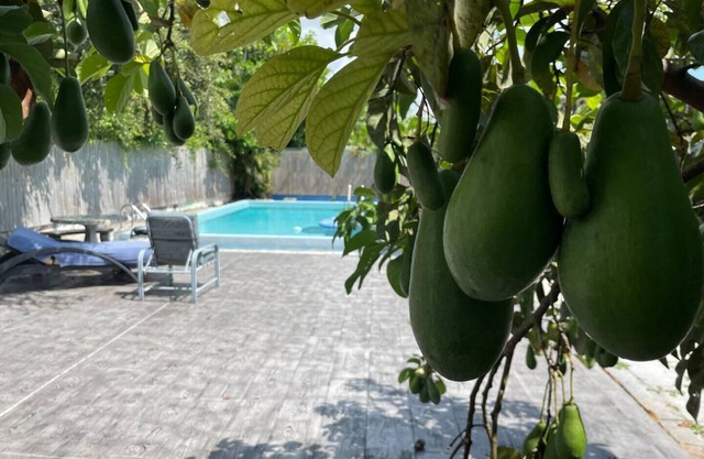 Miami Private Home with Large Pool