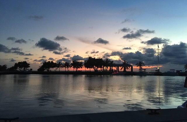 MIAMI Spacious & Clean Studio - Private Entrance