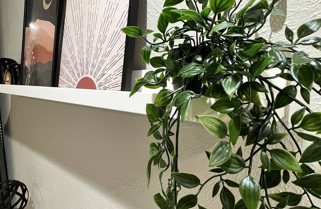 Mid-century designed Oak Cliff studio