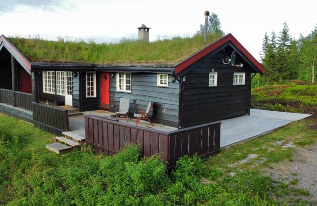 Middagslia - cabin at Skrim with amazing view