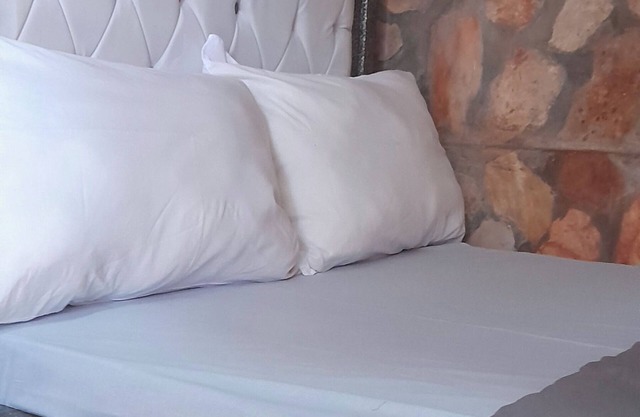 Miji Lake View -Quiet Room with a Lake Victoria View. 3mins to jinja Town center