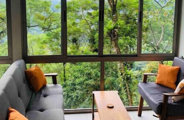 Milagro- Tree Studio