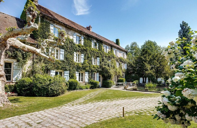 Mill XVIII th near Fontainebleau Swimming pool 16+ beds