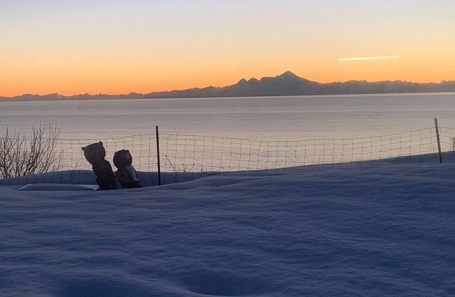 Million Dollar View
