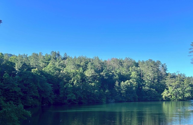 Minutes from Joyce Kilmer Forest and Cherohala