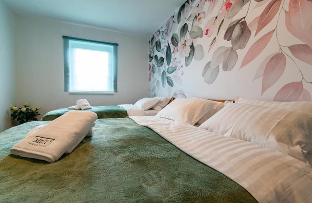 MIZU APARTMA VAS LIPA OLIMJE