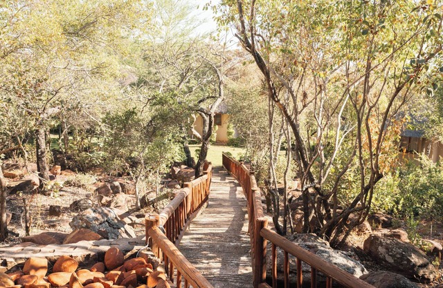 Mmakuba Private Game Lodge