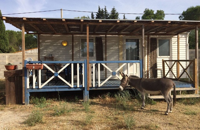 MOBIL HOME IN THE COUNTRYSIDE