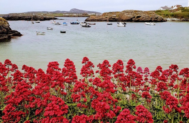 Modern apartment with sea views free WIFI