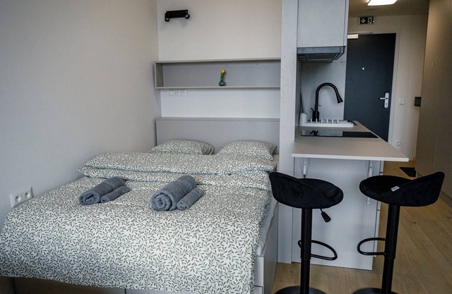 Modern Apartment in Downtown w/Garage, Balcony & WiFi